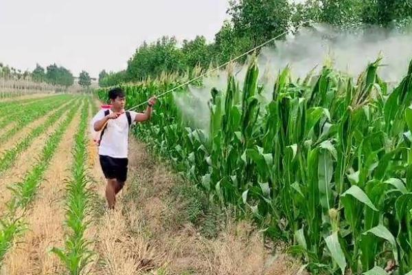 自制水肥需要发酵多少天，采用的方法不同导致发酵时间不同