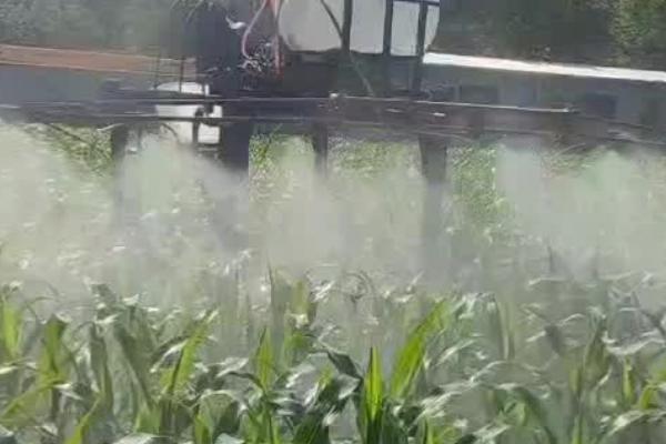 自制水肥需要发酵多少天，采用的方法不同导致发酵时间不同