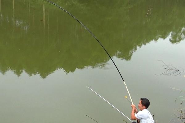 水库守钓大鱼如何找钓点，要在水稍微深一点的地方垂钓