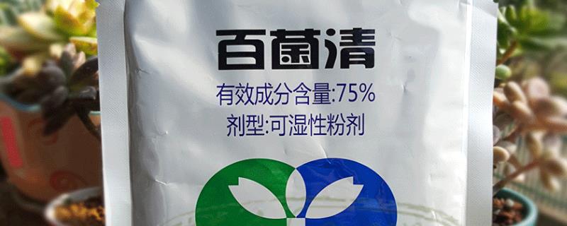 百菌清不能在哪些情况下使用，注意以下10点