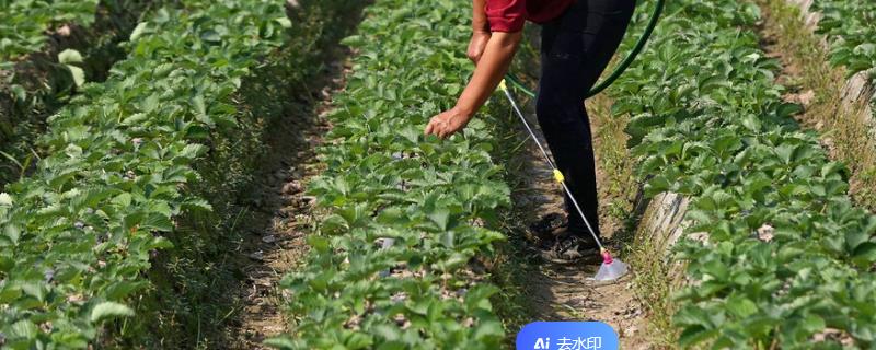 代森锰锌能不能和多菌灵混用，二者一起使用可以防治梨黑星病等病害