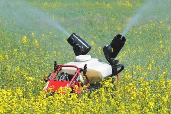 如何清除杂草，可采用化学除草剂除草或人工除草