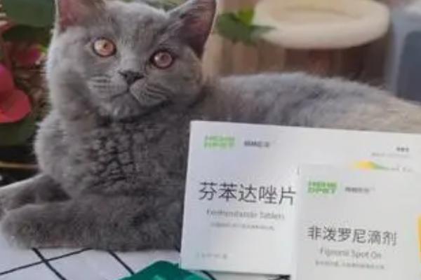 给猫喂驱虫药片的方法，可直接喂药或诱导喂药