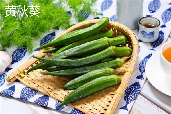 在家种什么作物能挣钱，当前可以考虑白术、荠菜、香椿等品种