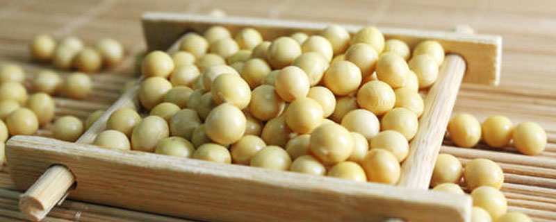 喜海6号大豆种子特征特性，普通品种