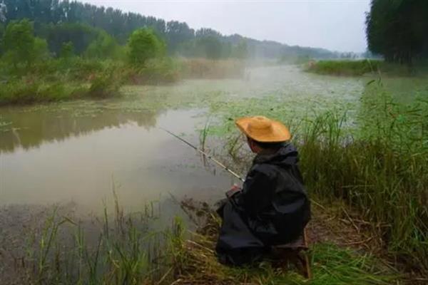 什么天气野钓鱼开口，一般选择天高气爽或毛毛雨的时候