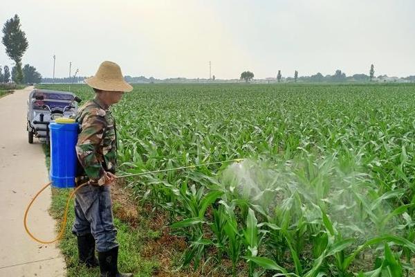 烟嘧磺隆打完几小时下雨不影响药效，喷药后6小时内没有下雨就不影响