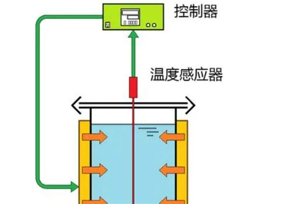 怎么养殖天天开，春秋季节每隔2-3天浇一次水